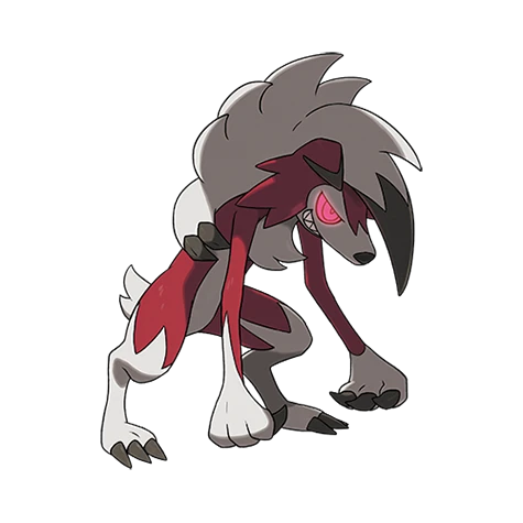 Lougaroc Forme Nocturne