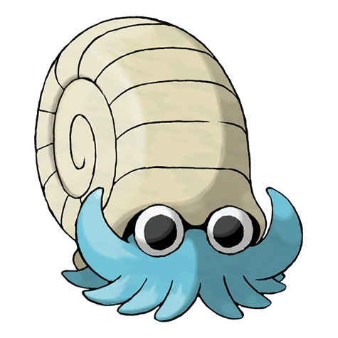 Amonita