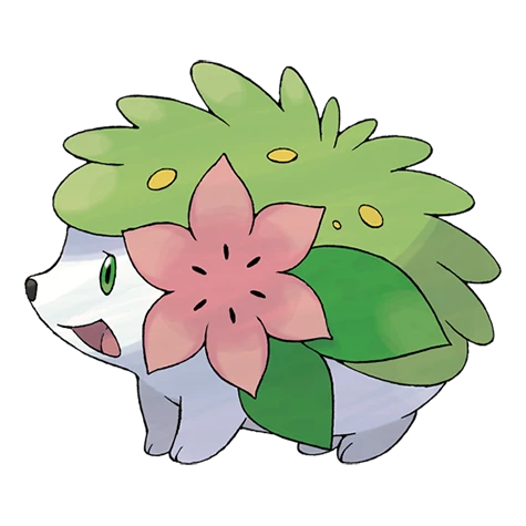 Shaymin Terrestre