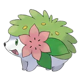 Shaymin Terrestre
