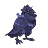 Corvaillus
